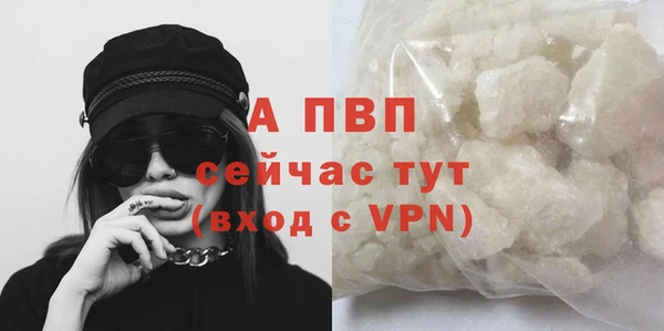 ECSTASY Киреевск