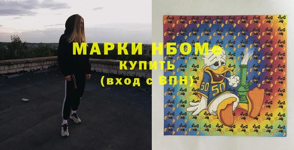 стаф Киренск