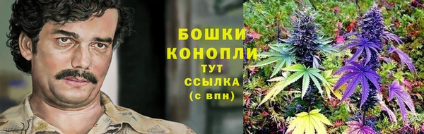 стаф Киренск
