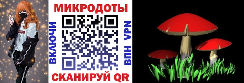 Псилоцибиновые грибы мухоморы где можно купить наркотик Терек